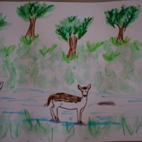 Chasse au trésor