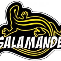 Evénement Salamander Skatepark - LUSSAC-LES-CHATEAUX