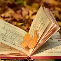 Vente de Livres - LUSSAC-LES-CHATEAUX