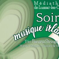 Soirée musicale irlandaise - LUSSAC-LES-CHATEAUX