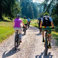 Séjour en vélo vers les Oiseaux de la Brenne - LUSSAC-LES-CHATEAUX