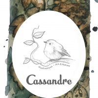 Atelier peinture avec Cassandre - LUSSAC-LES-CHATEAUX